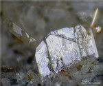Eifel Mineralien Bellerberg Tridymit