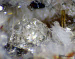 Eifel Mineralien Bellerberg Tridymit