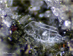 Eifel Mineralien Bellerberg Tridymit