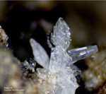 Eifel Mineralien Bellerberg Tridymit