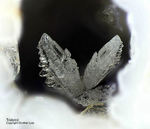 Eifel Mineralien Bellerberg Tridymit