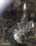 Eifel Mineralien Bellerberg Tridymit
