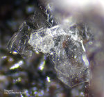 Eifel Mineralien Bellerberg Tridymit
