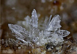 Eifel Mineralien Bellerberg Tridymit