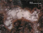 Eifel Mineralien Emmelberg Mullit