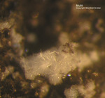 Eifel Mineralien Emmelberg Mullit
