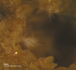 Eifel Mineralien Emmelberg Mullit