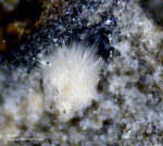 Eifel Mineralien Emmelberg Mullit