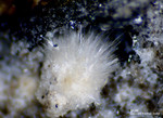 Eifel Mineralien Emmelberg Mullit