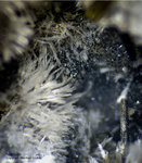Eifel Mineralien Graulei Natrolith