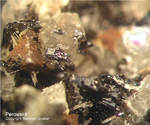 Eifel Mineralien Graulei Perowskit