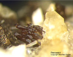 Eifel Mineralien Graulei Perowskit