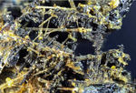 Eifel Mineralien Graulei Perowskit