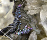 Eifel Mineralien Graulei Perowskit