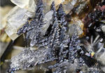 Eifel Mineralien Graulei Perowskit