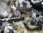 Eifel Mineralien Graulei Perowskit