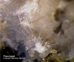 Eifel Mineralien Graulei Thaumasit