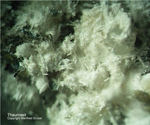 Eifel Mineralien Graulei Thaumasit