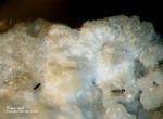 Eifel Mineralien Graulei Thaumasit