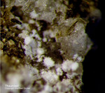 Eifel Mineralien Graulei Thaumasit