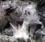 Eifel Mineralien Hannebacher Ley Hannebachit