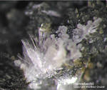 Eifel Mineralien Hannebacher Ley Hannebachit