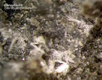 Eifel Mineralien Hannebacher Ley Hannebachit