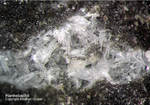 Eifel Mineralien Hannebacher Ley Hannebachit