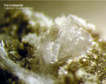 Eifel Mineralien Hannebacher Ley Hannebachit