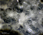 Eifel Mineralien Hannebacher Ley Hannebachit