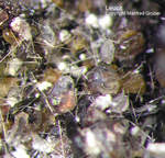 Eifel Mineralien Hannebacher Ley Haematit