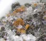 Eifel Mineralien Hannebacher Ley Melilith
