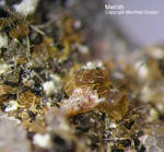 Eifel Mineralien Hannebacher Ley Melilith