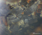 Eifel Mineralien Hannebacher Ley Topas