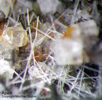 Eifel Mineralien Liley Apatit