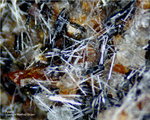 Eifel Mineralien Liley Apatit