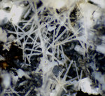 Eifel Mineralien Liley Apatit