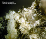 Eifel Mineralien Liley Alumohydrocalcit