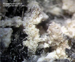 Eifel Mineralien Liley Alumohydrocalcit