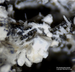 Eifel Mineralien Liley Alumohydrocalcit
