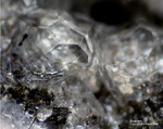 Eifel Mineralien Liley Analcim