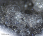 Eifel Mineralien Liley Analcim