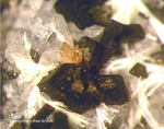 Eifel Mineralien Liley Titanit