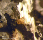 Eifel Mineralien Liley Titanit