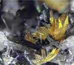 Eifel Mineralien Liley Titanit
