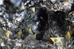 Eifel Mineralien Liley Titanit