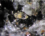 Eifel Mineralien Mendig Apatit