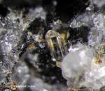 Eifel Mineralien Mendig Apatit