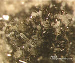 Eifel Mineralien Mendig Apatit