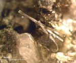 Eifel Mineralien Mendig Apatit